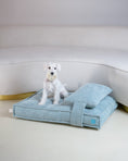 Load image into Gallery viewer, Memory Foam Dog Bed - Southlake Paws