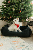 Load image into Gallery viewer, Chester & Lee | Fancy Corduroy Sleeper Dog Bed Graphite - image 4