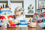 BIRTHDAY BONE
