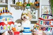 BIRTHDAY BONE
