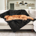 Load image into Gallery viewer, PupProtector™ Short Fur Waterproof Throw Blanket - Midnight Black