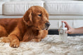 Load image into Gallery viewer, Marlie Mist Pet Odor Eliminator Spray with Essential Oils
