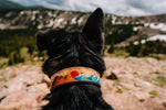 Mountain and Waves Dog Collar