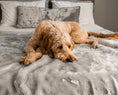 Load image into Gallery viewer, PupProtector™ Short Fur Waterproof Throw Blanket - Grey