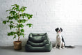 Load image into Gallery viewer, Bolster Beds Premium Chester & Lee | Classic Velvet Sleeper Dog Bed Green