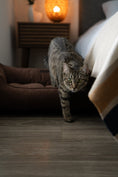 Load image into Gallery viewer, Chester & Lee | Fancy Corduroy Sleeper Dog Bed Brown - image 11