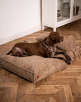 Load image into Gallery viewer, Memory Foam Dog Bed - Southlake Paws