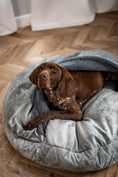 Load image into Gallery viewer, Cover Dog Bed - Southlake Paws