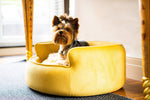 The Yin & Yang Luxury Pet Bed in Blue