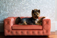 Load image into Gallery viewer, The Royal Luxury Pet Bed in Yellow