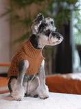 Load image into Gallery viewer, Pet Sweater Vest - Toffee Orange