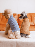 Load image into Gallery viewer, Pet Sweater Vest - Toffee Orange