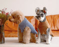Load image into Gallery viewer, Pet Sweater Vest - Toffee Orange