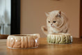 Load image into Gallery viewer, Puff Pet Bowl - Gradient Caramel