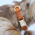 Load image into Gallery viewer, 'Clay' - Velvet Dog Collar