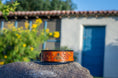 Load image into Gallery viewer, The Honey Bee Dog Collar - Southlake Paws