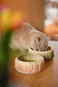 Load image into Gallery viewer, Puff Pet Bowl - Gradient Caramel