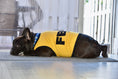 Load image into Gallery viewer, Parisian Pet 'FBI' Funny Slogan Dog Shirt – Trendy Yellow Pet Apparel for Dogs & Cats