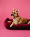Load image into Gallery viewer, Chester & Lee | Vibrant Velvet Sleeper Dog Bed Wine - image 4