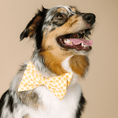 Load image into Gallery viewer, Daisy Dog Babe Bow
