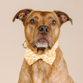 Load image into Gallery viewer, Daisy Dog Bow Tie