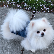 Daisy Denim Dog Jacket