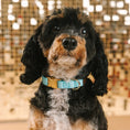 Load image into Gallery viewer, Dawson Dog Collar