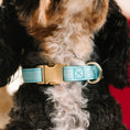 Load image into Gallery viewer, Dawson Dog Collar