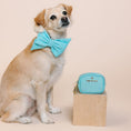 Load image into Gallery viewer, Dawson Waste Bag Holder & Treat Pouch
