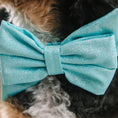 Load image into Gallery viewer, Dawson Dog Babe Bow