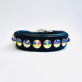 Load image into Gallery viewer, Delight Dog Collar #2