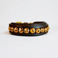 Load image into Gallery viewer, Delight Dog Collar #4