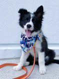 Load image into Gallery viewer, Destin Dog Bandana