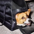 Load image into Gallery viewer, Destination Dog Tote - Ltd Edition. - Southlake Paws