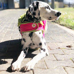 Diamond Quilted Coat