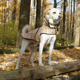 Load image into Gallery viewer, Up Country Plaid Diamond Quilted Coat Pet Accessory