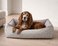 Load image into Gallery viewer, Bowsers Oslo Orthopedic Dog Bed in allumina