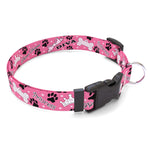 Personalized Diva Dog Dog Collar