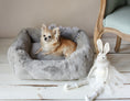 Load image into Gallery viewer, The Divine Dog Bed