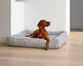 Load image into Gallery viewer, Bowsers Divine Futon Dog Bed in aspen