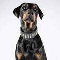 Load image into Gallery viewer, The "Stud" dog collar