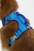 Load image into Gallery viewer, Dockside Adventures Ultimate Harness - Southlake Paws