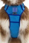Load image into Gallery viewer, Dockside Adventures Ultimate Harness - Southlake Paws