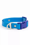 Load image into Gallery viewer, Dockside Adventures Waterproof Dog Collar - Southlake Paws