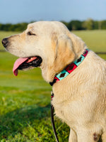 Product image of Pink and Turquoise dog collar