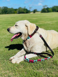 Load image into Gallery viewer, Pink and Turquoise dog collar