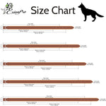 ExionPro Silver Snaffle Padded Leather Dog Collar - Conker Padding