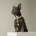 Load image into Gallery viewer, City Collar - Madison