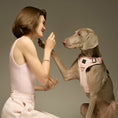 Load image into Gallery viewer, DOGISTRY The NoMad Adjustable Luxe Harness - Sweetheart