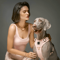 Load image into Gallery viewer, DOGISTRY The NoMad Adjustable Luxe Harness - Sweetheart